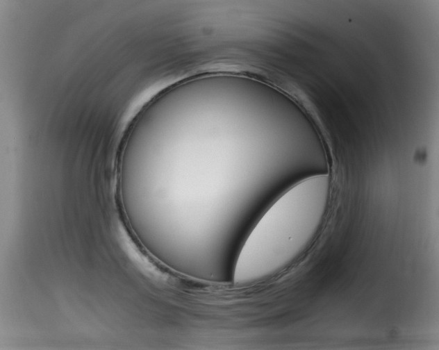 X0000116000795200911191213