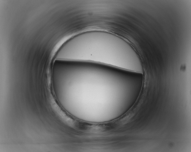 X0000116000796200911191213