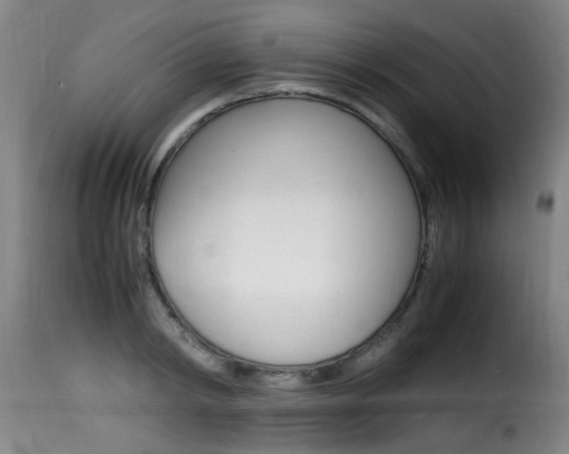 X0000116000798200911191213