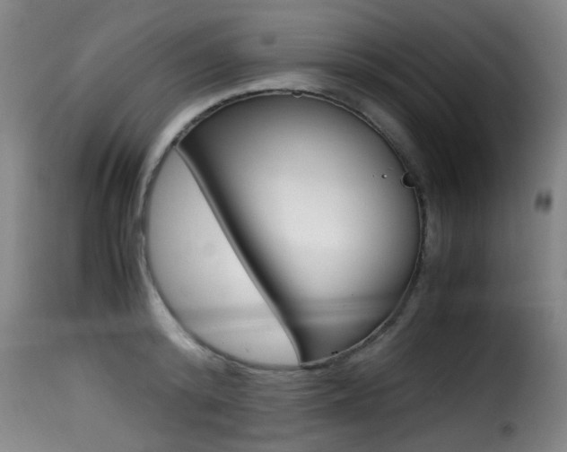 X0000116000800200911191213