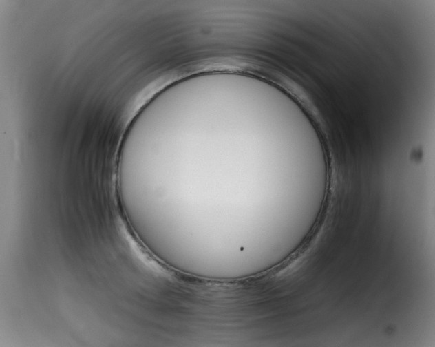 X0000116000802200911191213