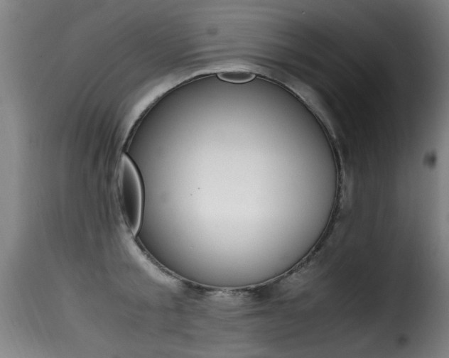 X0000116000805200911191212