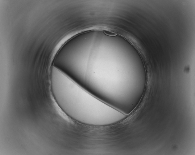 X0000116000808200911191212