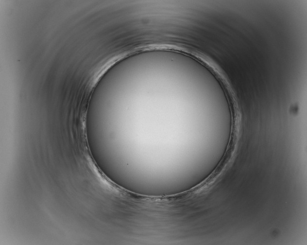 X0000116000809200911191212