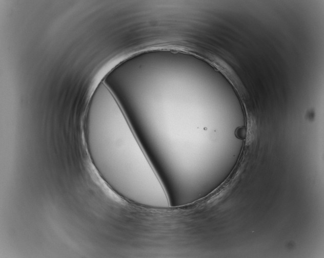 X0000116000812200911191212