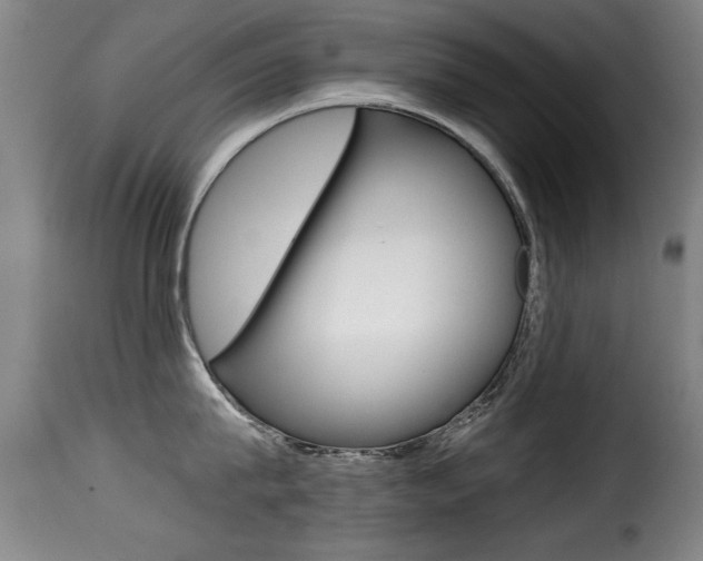 X0000116000815200911191212