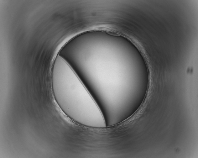 X0000116000816200911191212