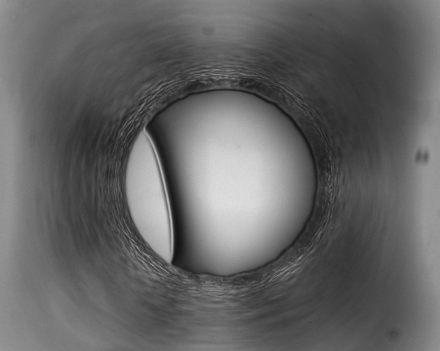 X0000116000818200911191211