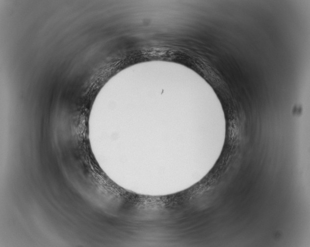 X0000116000820200911191212