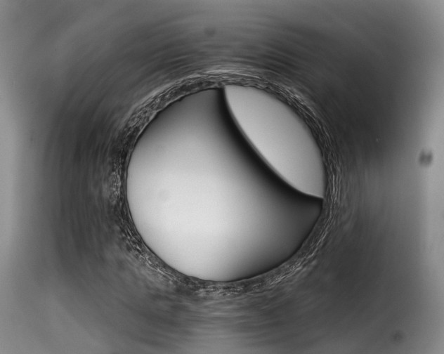 X0000116000821200911191212