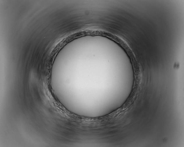 X0000116000823200911191212