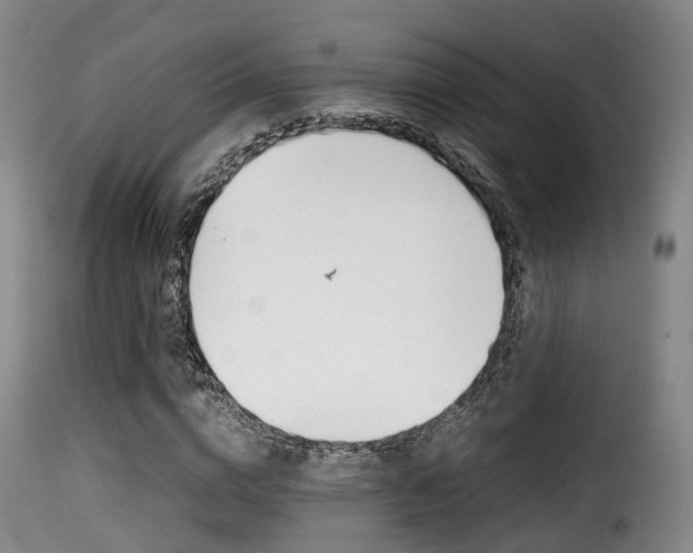 X0000116000824200911191212