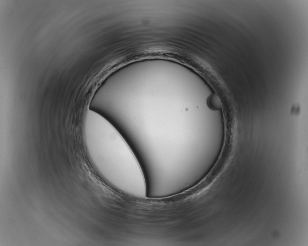 X0000116000825200911191212