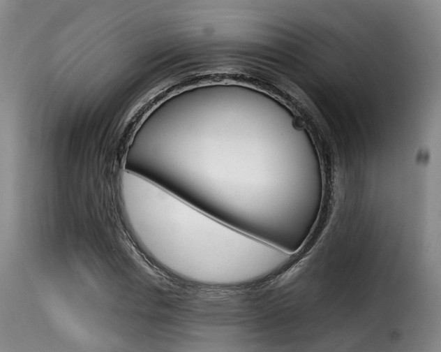 X0000116000826200911191212
