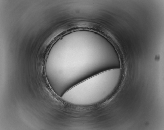 X0000116000829200911191212