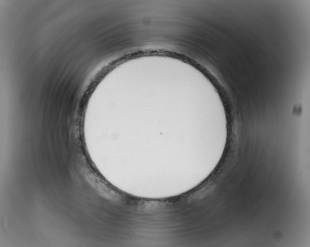 X0000116000832200911191212