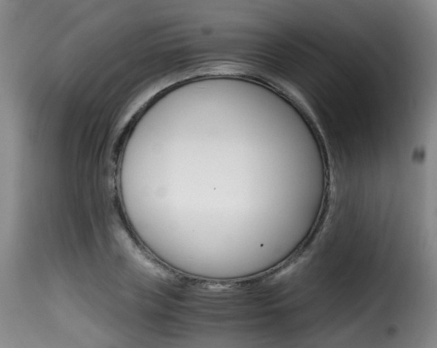 X0000116000835200911191212