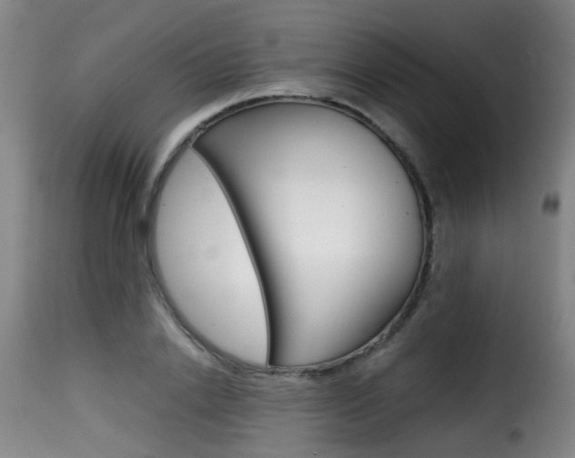 X0000116000838200911191212