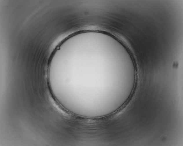 X0000116000839200911191212