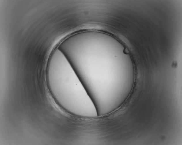 X0000116000840200911191212