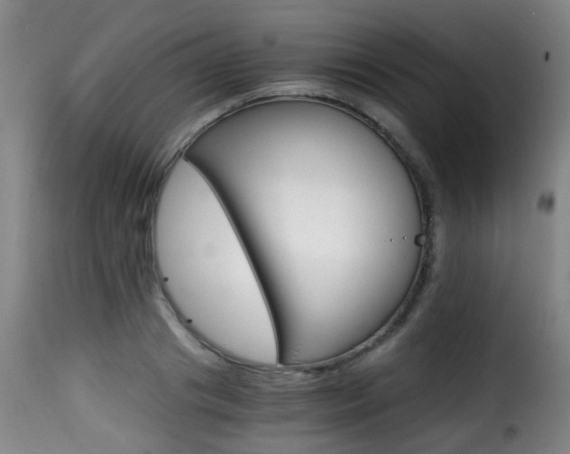 X0000116000841200911191212