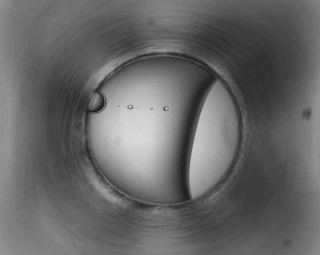 X0000116000842200911191212