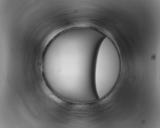 X0000116000843200911191212