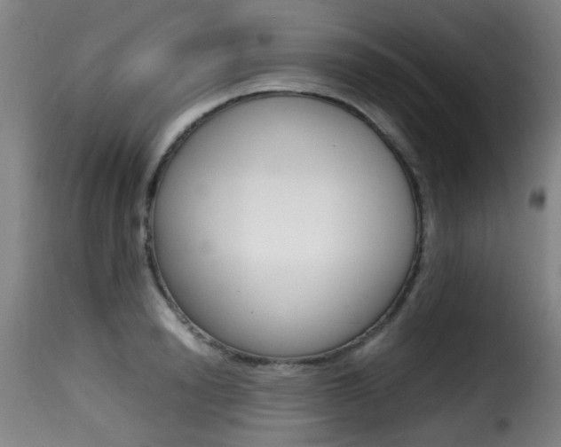 X0000116000846200911191212