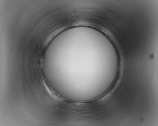X0000116000849200911191212