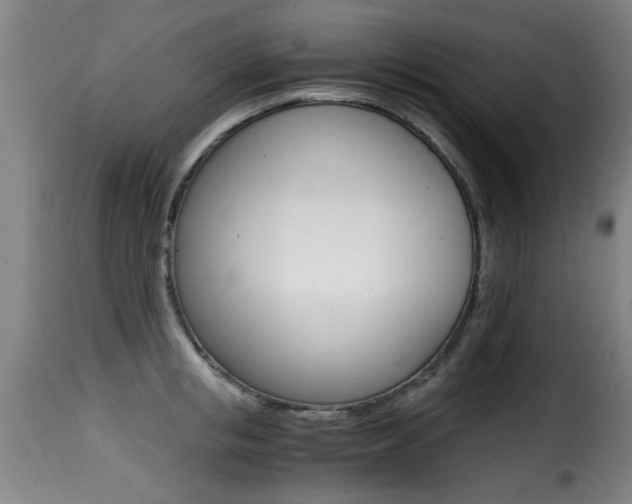X0000116000853200911191212