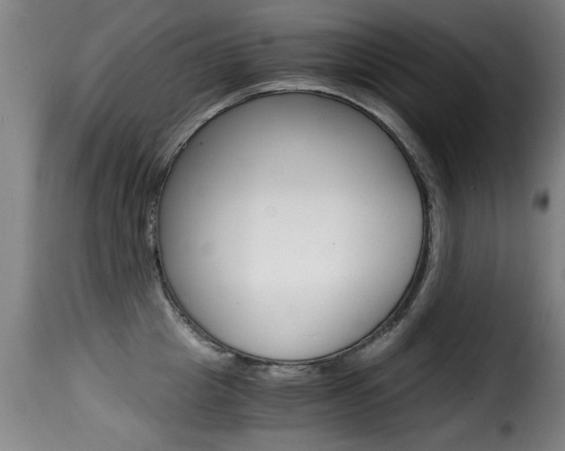 X0000116000857200911191212