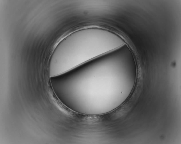 X0000116000858200911191212