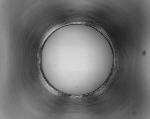 X0000116000859200911191212