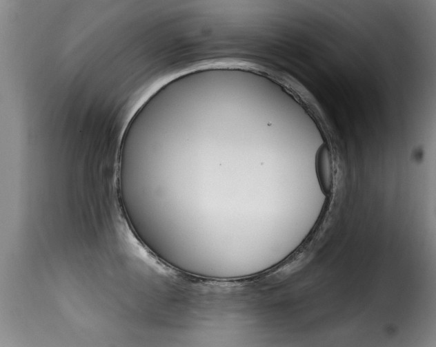 X0000116000860200911191212