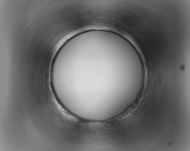 X0000116000861200911191212