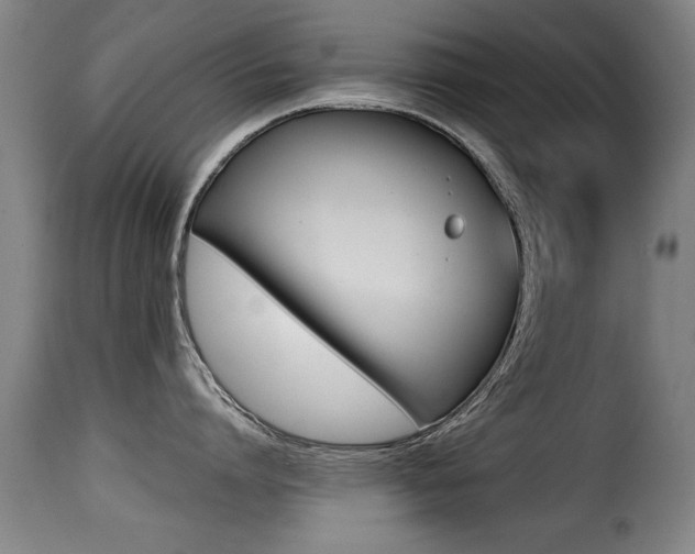 X0000116000864200911191212