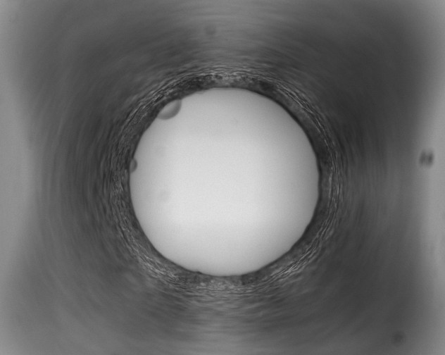X0000116000865200911191211