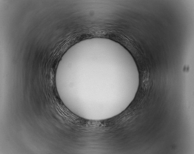 X0000116000866200911191211