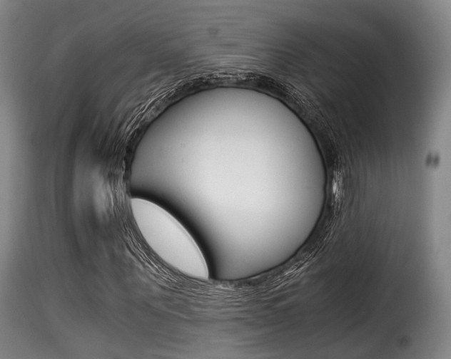 X0000116000867200911191211