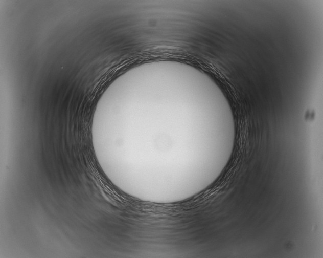 X0000116000868200911191211