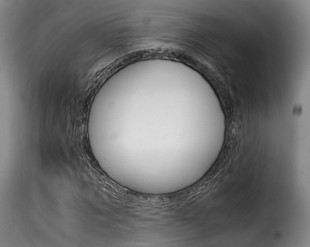 X0000116000869200911191211