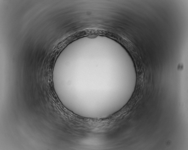 X0000116000870200911191211