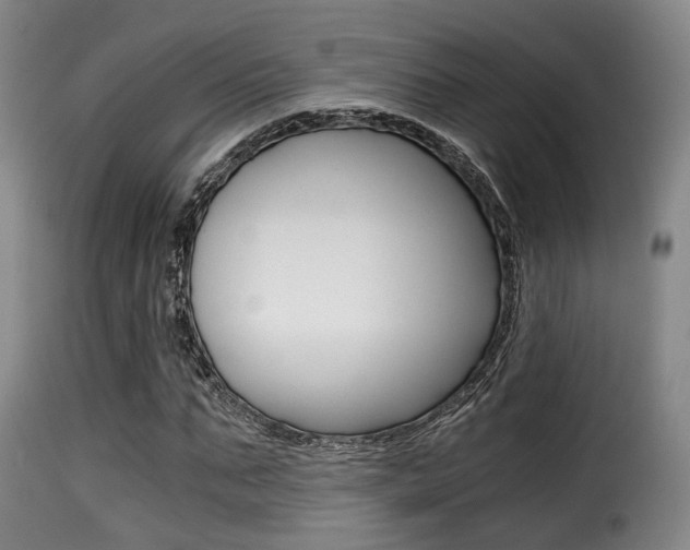 X0000116000871200911191211