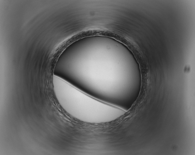 X0000116000872200911191211
