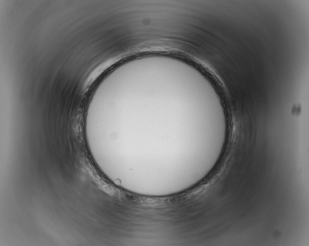 X0000116000874200911191211