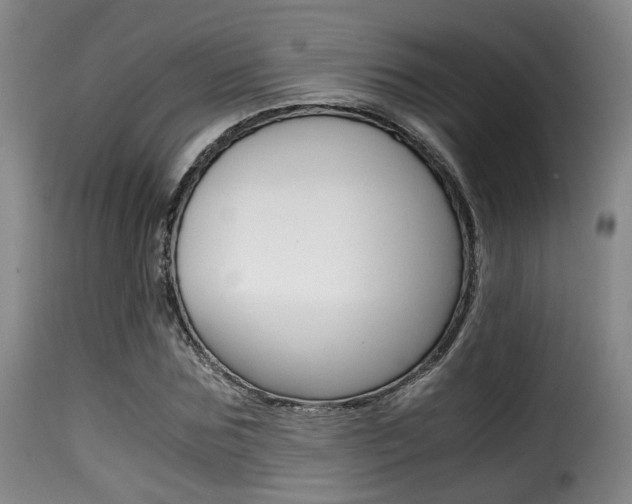 X0000116000875200911191211