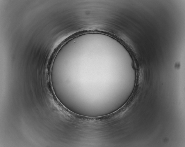 X0000116000876200911191211