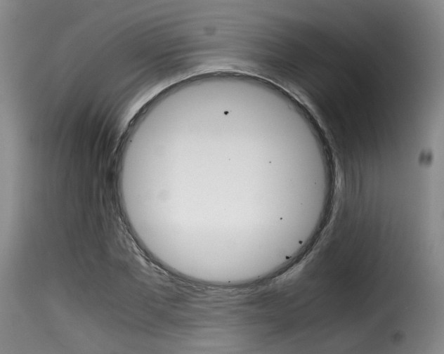 X0000116000877200911191211