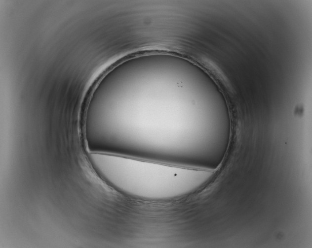 X0000116000884200911191211