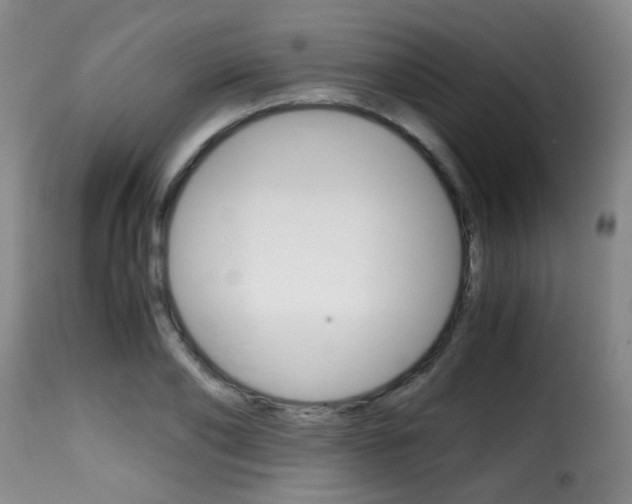 X0000116000886200911191211